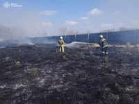 Сумська область: рятувальники упродовж дня неодноразово ліквідовували загоряння сухої рослинності