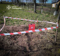 Яворівський район: на території приватного господарства знайшли застарілий снаряд