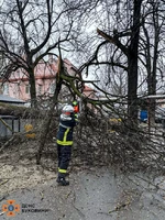 Чернівецька область: рятувальники залучались до ліквідації наслідків негоди