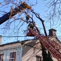 Чернівецька область: рятувальники продовжують розпилювати повалені дерева