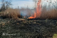 Надзвичайники продовжують боротися з пожежами в екосистемах