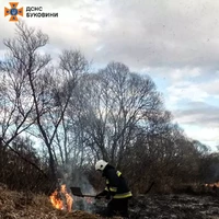 Чернівецька область: за минулу добу виникло 12 пожеж 9 з них на відкритій території