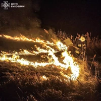 Чернівецька область: за минулу добу виникло 12 пожеж 8 з яких на відкритій території