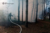 Упродовж доби вогнеборці гасили пожежі в екосистемі