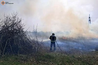 Полтавський район: вогнеборці загасили займання сухої рослинності