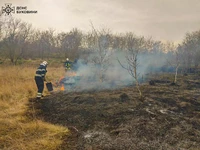 Чернівецька область: за добу ліквідовано 16 пожеж