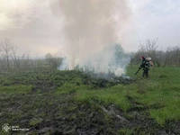 190 пожеж в екосистемах з початку року ліквідували вогнеборці