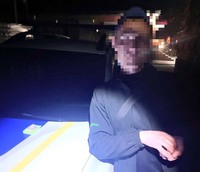 Правопорушника затримали поліцейські охорони на Кіровоградщині