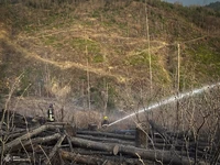 Оперативна інформація щодо ліквідації пожежі на території Лазещинського лісництва станом на 18:50