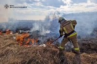 На Дніпропетровщині протягом доби надзвичайники ліквідували 42 пожежі в екосистемах