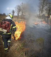 За добу, що минула вогнеборці Львівщини ліквідували 42 пожежі сухої трави
