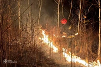 17 пожеж на відкритих територіях загальною площею 6,2 га ліквідовано рятувальниками Рівненщини за минулу добу