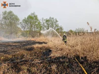 Чернівецька область: за добу згоріло понад 17 га сухої трави