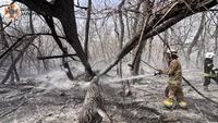 У плавневій зоні Дніпра рятувальники ліквідовують пожежу