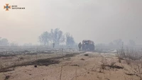 У плавневій зоні Дніпра рятувальники локалізували пожежу