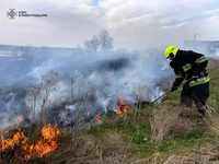 На Кіровоградщині рятувальники загасили 16 пожеж в екосистемі
