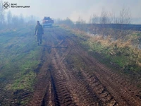 На Житомирщині за добу рятувальники загасили 19 пожеж сухої трави
