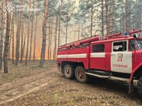 Харківщина: масовані ворожі обстріли спричинили велику лісову пожежу