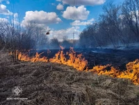 Понад 3 гектари територій області вогонь охопив минулої доби