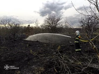 Сумська область: рятувальники упродовж доби 16 разів ліквідовували загоряння сухої рослинності