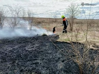 Кіровоградська область: рятувальники загасили 16 пожеж в екосистемі