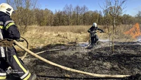 Сумська область: минулої доби рятувальники 10 разів ліквідовували загоряння сухої рослинності