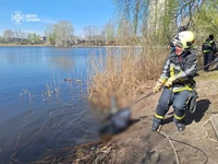 Рятувальники дістали тіло чоловіка з озера
