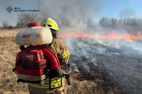 У Дніпровському районі рятувальники ліквідовують масштабну пожежу в екосистемі