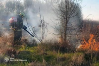 На Дніпропетровщині не вщухають пожежі в екосистемах: за добу рятувальники загасили 30 займань