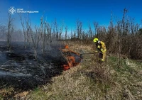 На Кіровоградщині рятувальники загасили 10 пожеж в екосистемі