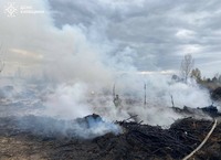30 пожеж за добу ліквідовано рятувальниками на відкритих територіях