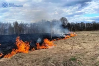 Упродовж минулої доби рятувальники Чернігівщини ліквідували 11 пожеж у природних екосистемах