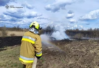Впродовж доби, що минула, на Кіровоградщині ліквідовано 6 пожеж сухої трави, очерету та сміття