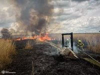 Протягом доби на території Миколаївської області зареєстровано 7 пожеж