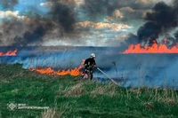 Рятувальники продовжують невпинно боротися з пожежами в екосистемах