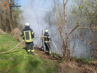 За минулу добу на території області рятувальники ліквідували 9 пожеж в екосистемах