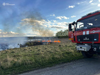 Тернопільщина: протягом вихідних ліквідовано 9 пожеж, серед них 4 сухої трави
