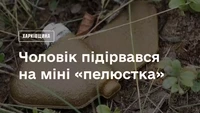 Харківський район: 67-річний чоловік травмувався, наступивши на протипіхотну міну