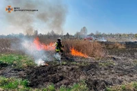 За добу ліквідовано 29 пожеж в екосистемах