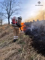 22 пожежі в екосистемах виникло на Прикарпатті за минулу добу, ліквідація ще однієї пожежі наразі триває