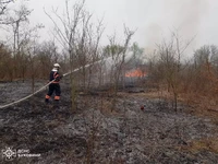 Чернівецька область: за минулу добу ліквідовано 8 пожеж