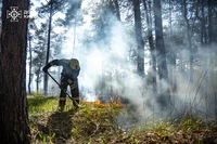 Рятувальники ліквідували пожежу в екосистемі