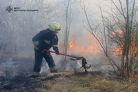 На Дніпропетровщині протягом доби вогнеборці ліквідували 23 пожежі в екосистемах