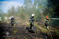 За добу, що минула вогнеборці Львівщини ліквідували 19 пожеж сухої трави