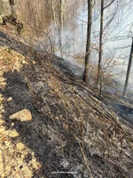 Протягом минулої доби рятувальники ліквідували 16 пожеж в екосистемах, на загальній площі близько 5 га.