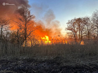 Тернопільська область: за добу виникло 14 пожеж