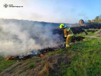 Кіровоградська область: за добу, що минула, ліквідовано 12 пожеж на відкритих територіях