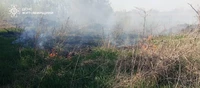Упродовж доби вогнеборці ліквідували 5 пожеж сухої рослинності