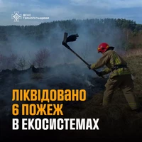 Тернопільщина: протягом минулої доби ліквідовано 6 пожеж в екосистемах