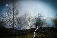 Львівщина: за добу, що минула вогнеборці та місцеві пожежні команди ліквідували 9 пожеж сухої трави